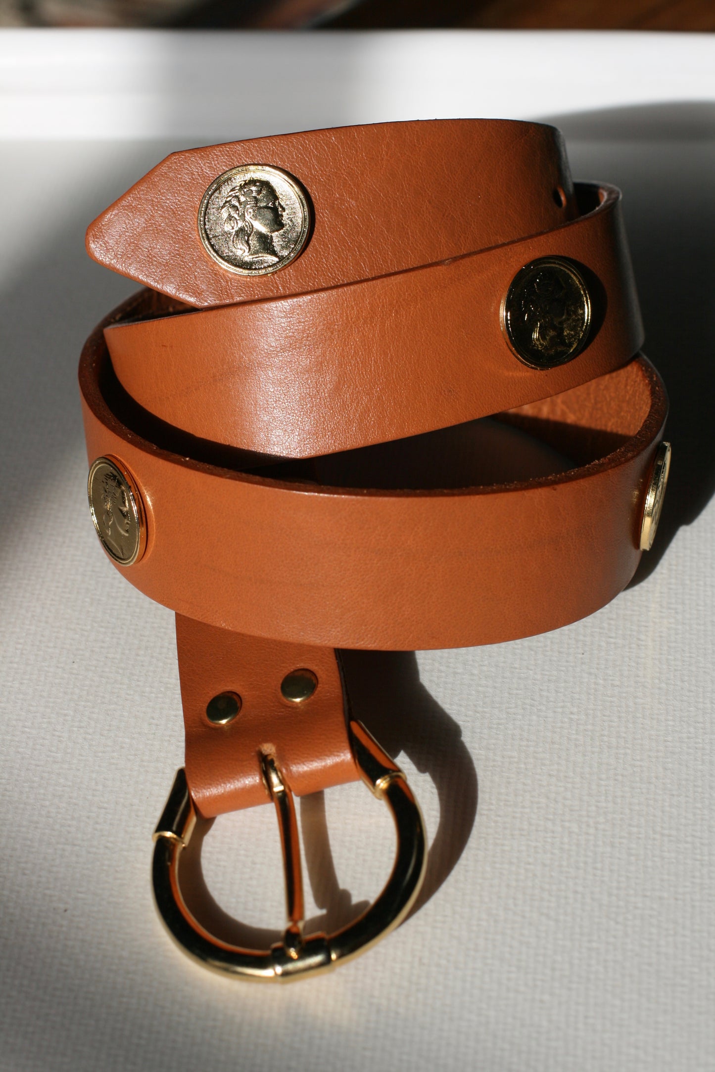 Dark Snake Rich Girl